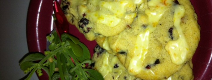 Cranberry Orange Christmas Cookies